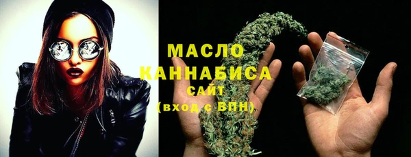 эйфоретик Гусь-Хрустальный
