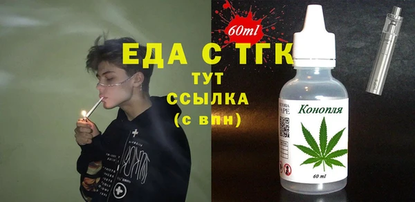 эйфоретик Гусь-Хрустальный