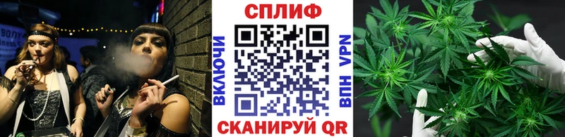Купить закладки  Звенигород  МАРИХУАНА THC 21% 